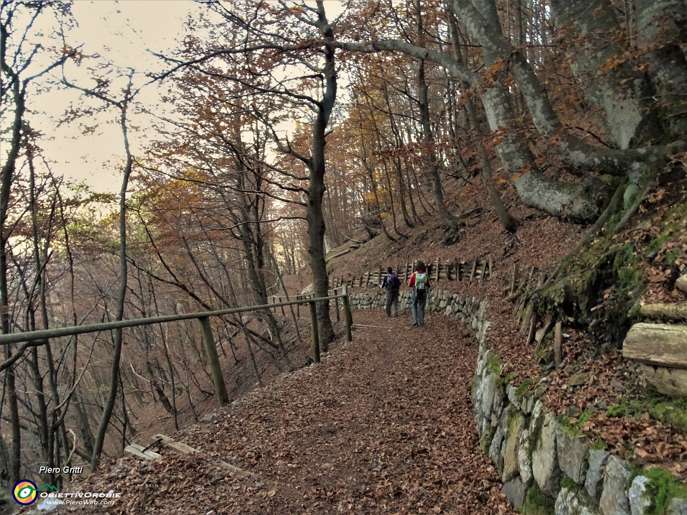 91 Dal Passo di Grialeggio scendiamo sul sent. 136 su tappeto di foglie  nella faggeta ormai in ombra.JPG